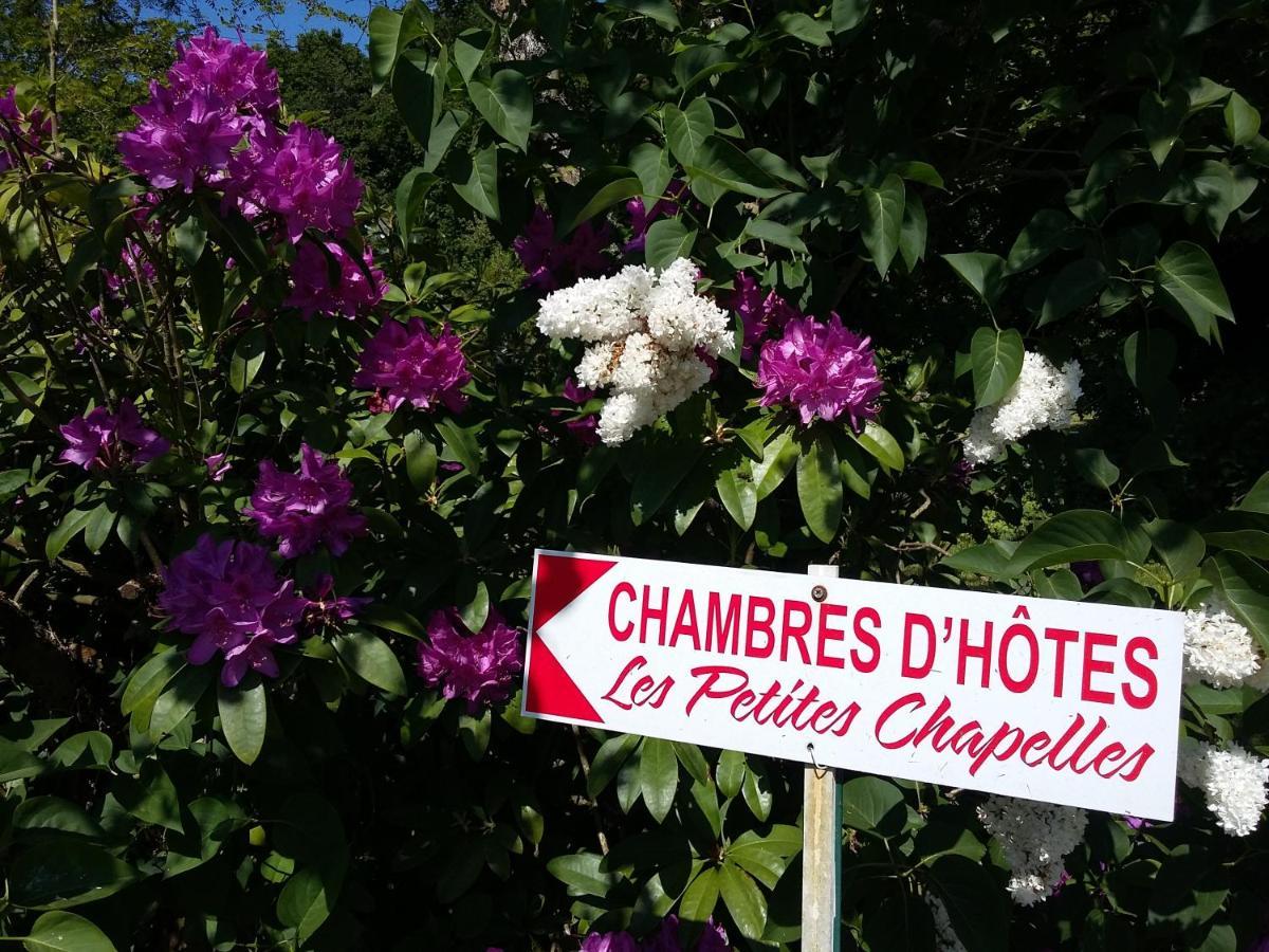 Bed and Breakfast Les Petites Chapelles Saint-Pierre-de-Plesguen Esterno foto