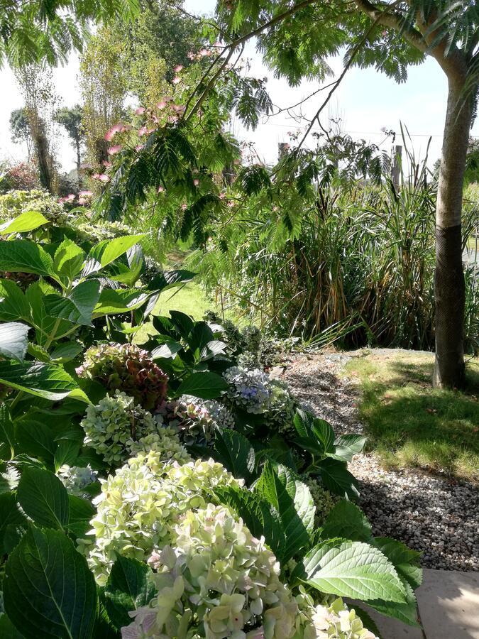 Bed and Breakfast Les Petites Chapelles Saint-Pierre-de-Plesguen Esterno foto