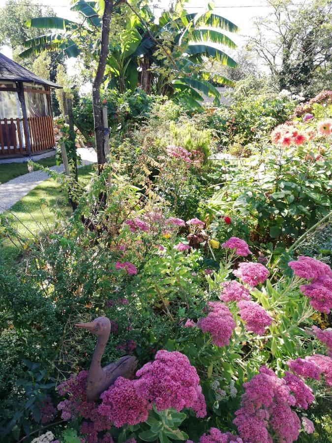 Bed and Breakfast Les Petites Chapelles Saint-Pierre-de-Plesguen Esterno foto
